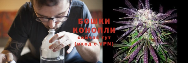 дурь Алексеевка