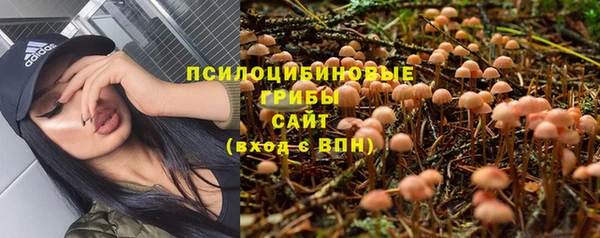 гашик Абинск