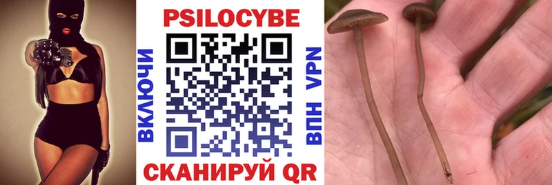 mega онион Беломорск Галлюциногенные грибы Psilocybine cubensis